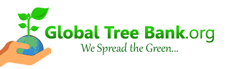 Global Tree Bank.com