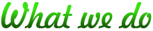 What we do